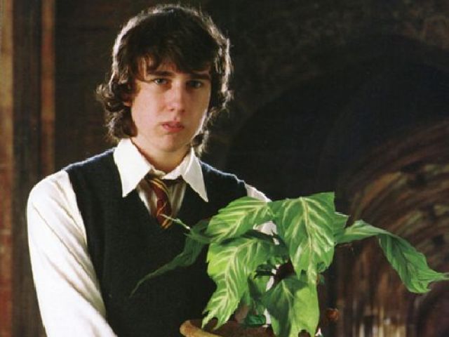 Neville Longbottom