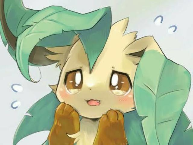 leafeon🍀🌿