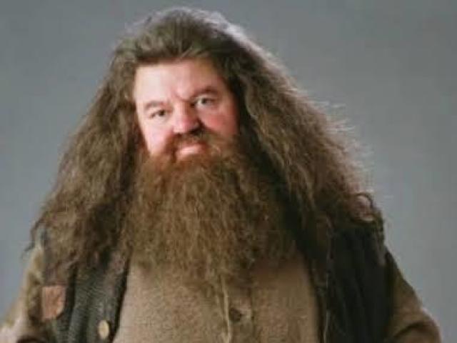 Rúbeo Hagrid
