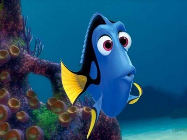 Dory.