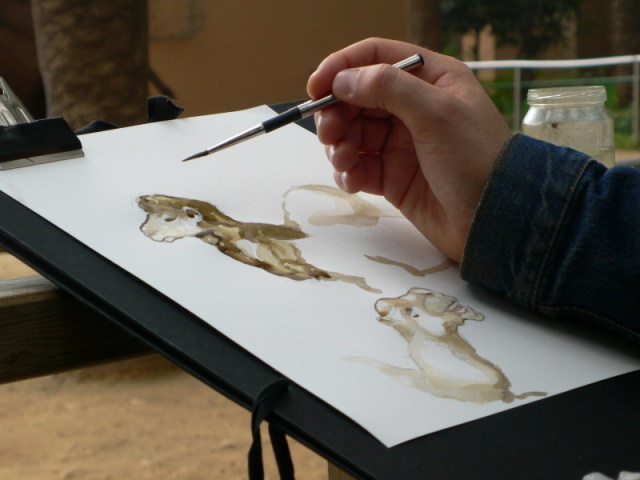 Desenhista.