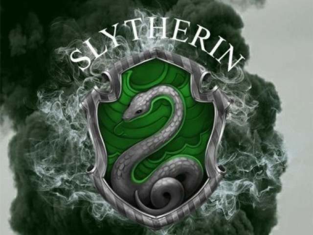 SONSERINA... A casa Sonserina é conhecida por possuir os membros mais ambiciosos, calculistas e orgulhosos.Foi fundada pelo famoso bruxo Salazar Slytherin