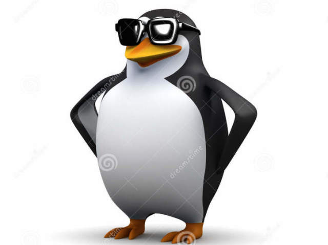 Pinguim