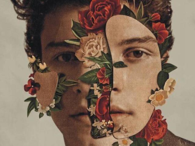 Fallin' all in you - Shawn Mendes