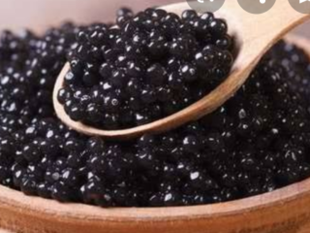 caviar ( nunca vi nem comi eu so ouço falar)