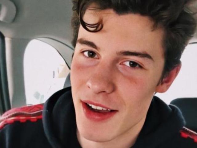 Você conhece mesmo o Shawn Mendes?