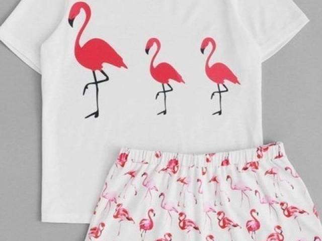 Flamingo 😍