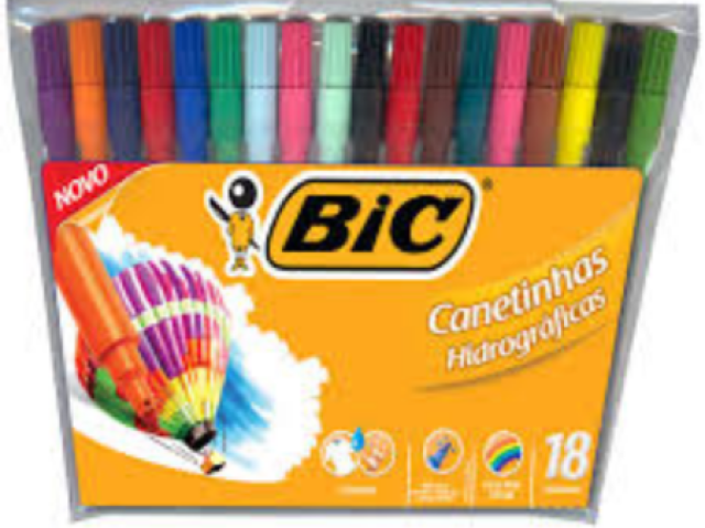 Bic e minha