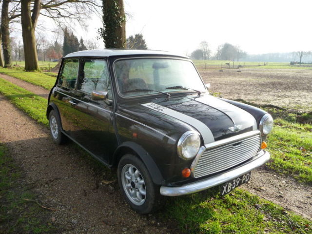 Mini 1000