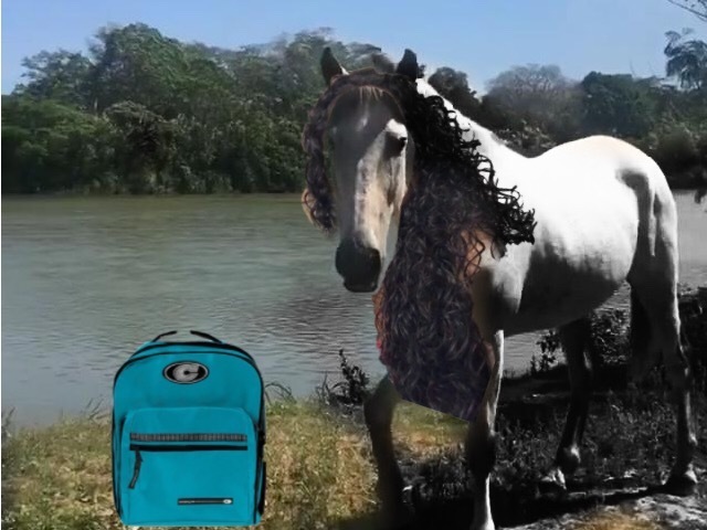 Bojack the Horsther