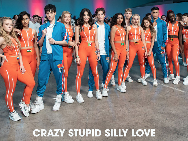 Crazy Stupid silly love