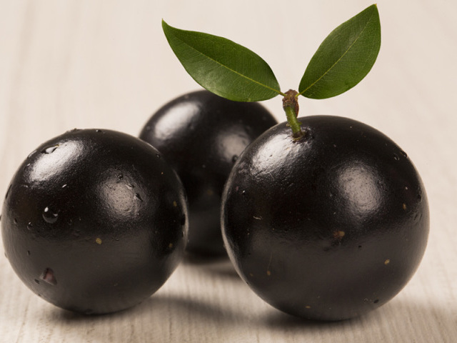 Jabuticaba