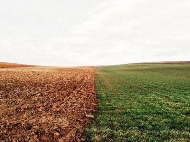 Agricultura de subsistência