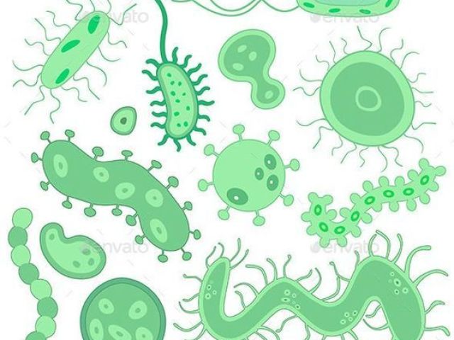 biologia