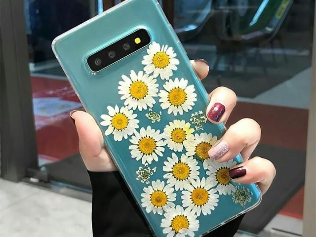 🌼🌼🌼