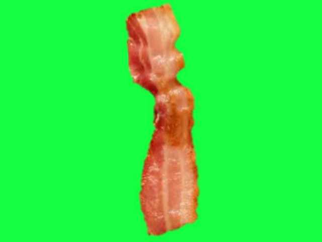 o bacon