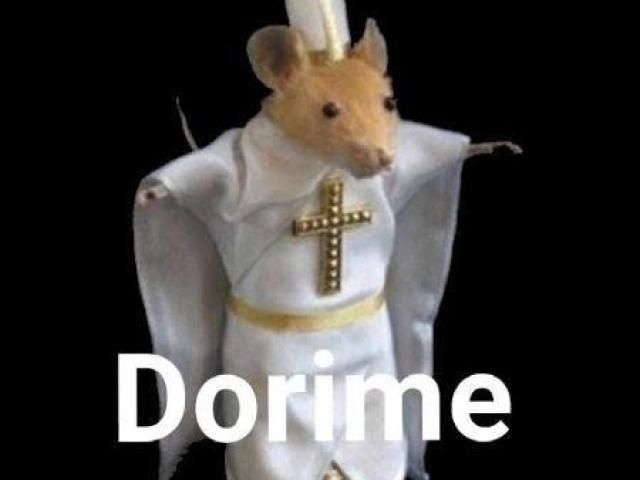 Rato de roupinha