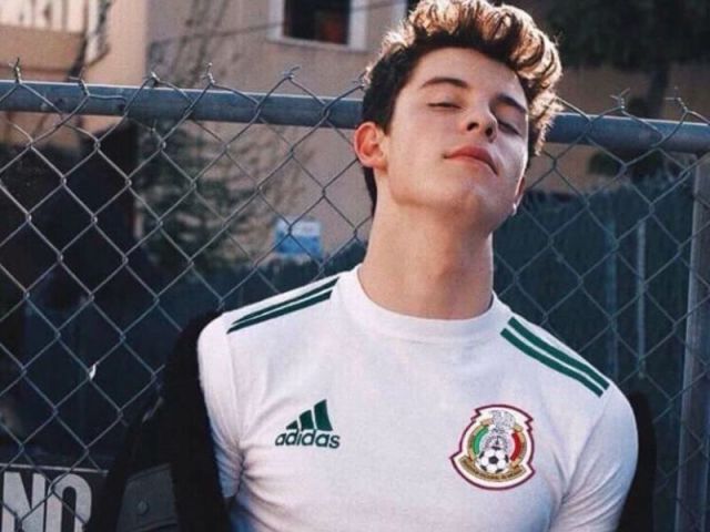 Você realmente conhece o Shawn Mendes?