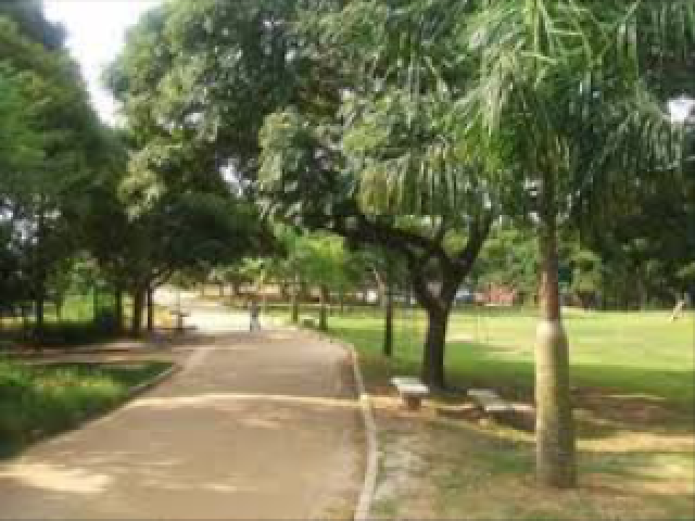 Parque