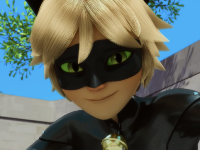 Chat noir; extrovertido, engraçadinho, cadelinha que gosta de apanhar de mulher bonita e aí fica meio bobão