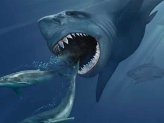 Megalodon