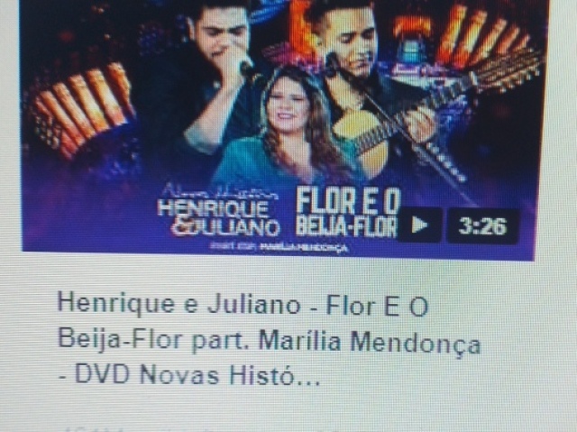 Flor e o beija flor