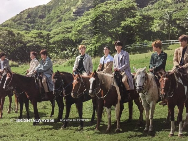 Quem do EXO te levaria em um passeio a cavalo? 🐴