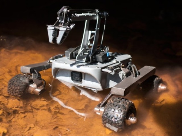 Turtle Rover