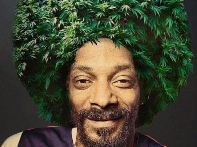 Poda máscara te maconheiro lolicon