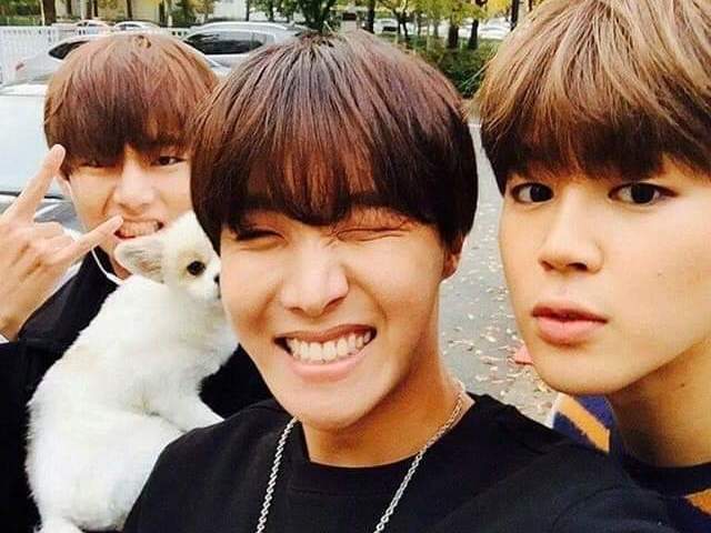 Hope, Tae e Jimin