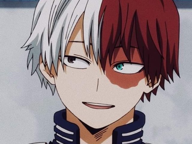 Shoto Todoroki!!!!