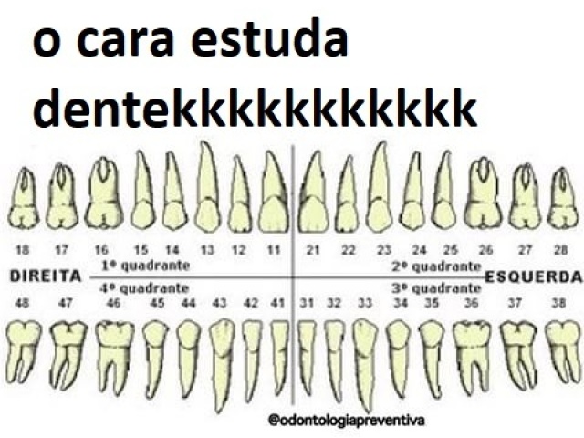 odontologia