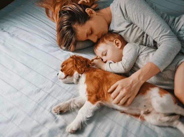 Prefiro dormir com meus filhos e bichinhos .