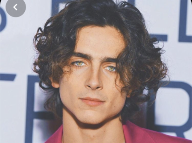 Timothee chalamet