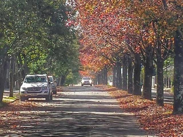 Vamos apenas andar na rua e ir em lugares aleatório