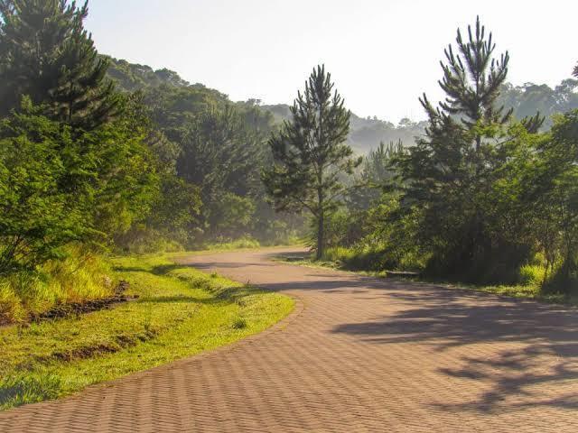 Vamos em um parque para relaxar