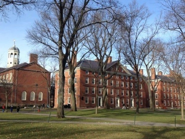 Harvard.