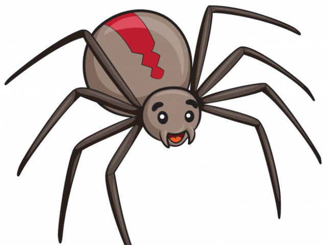 Aranha