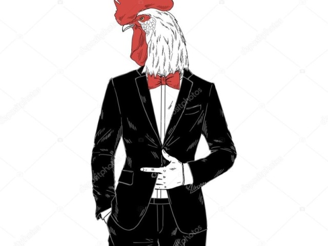 Galo de Terno