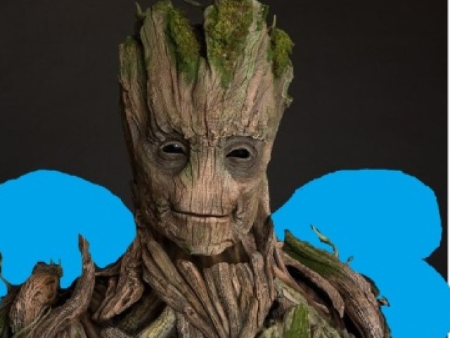 Groot Alado