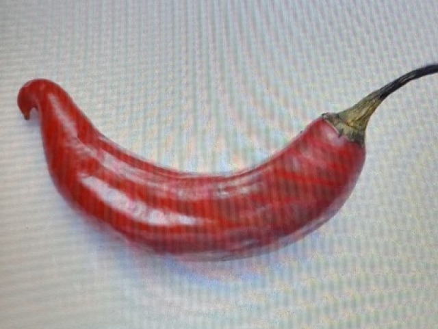 Pimenta