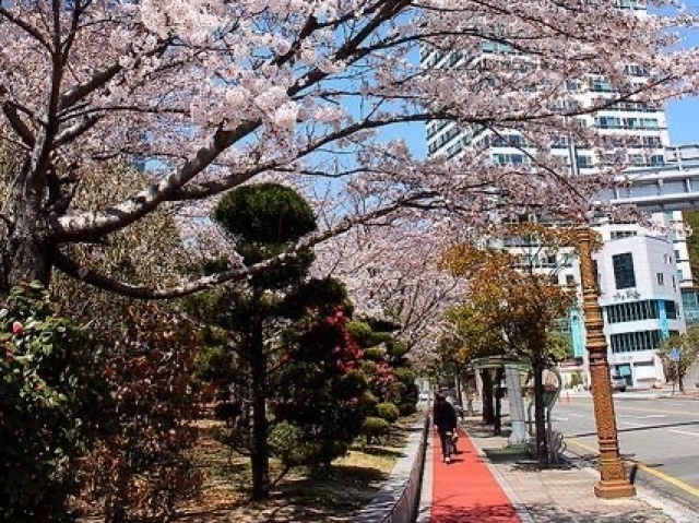 Passear pela cidade mesmo