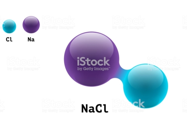 (NaCl)