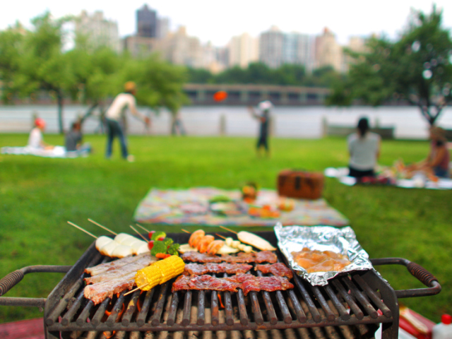 faz um picnic