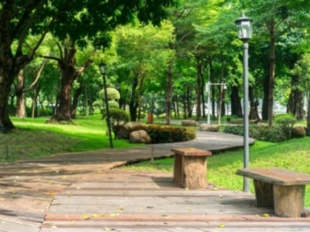 Parque