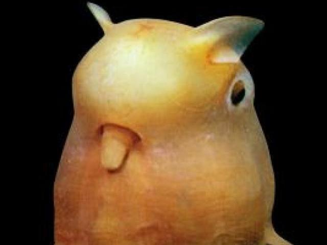 Carlos