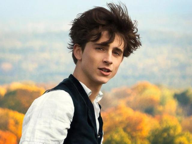 timothée chalamet