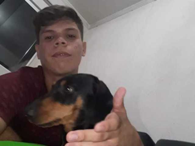 Cachorro do Arthur