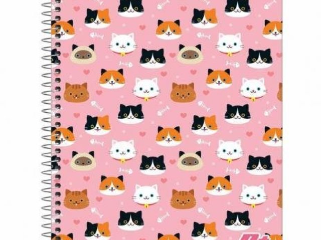 Caderno de gatinho