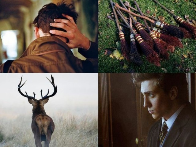 James Potter